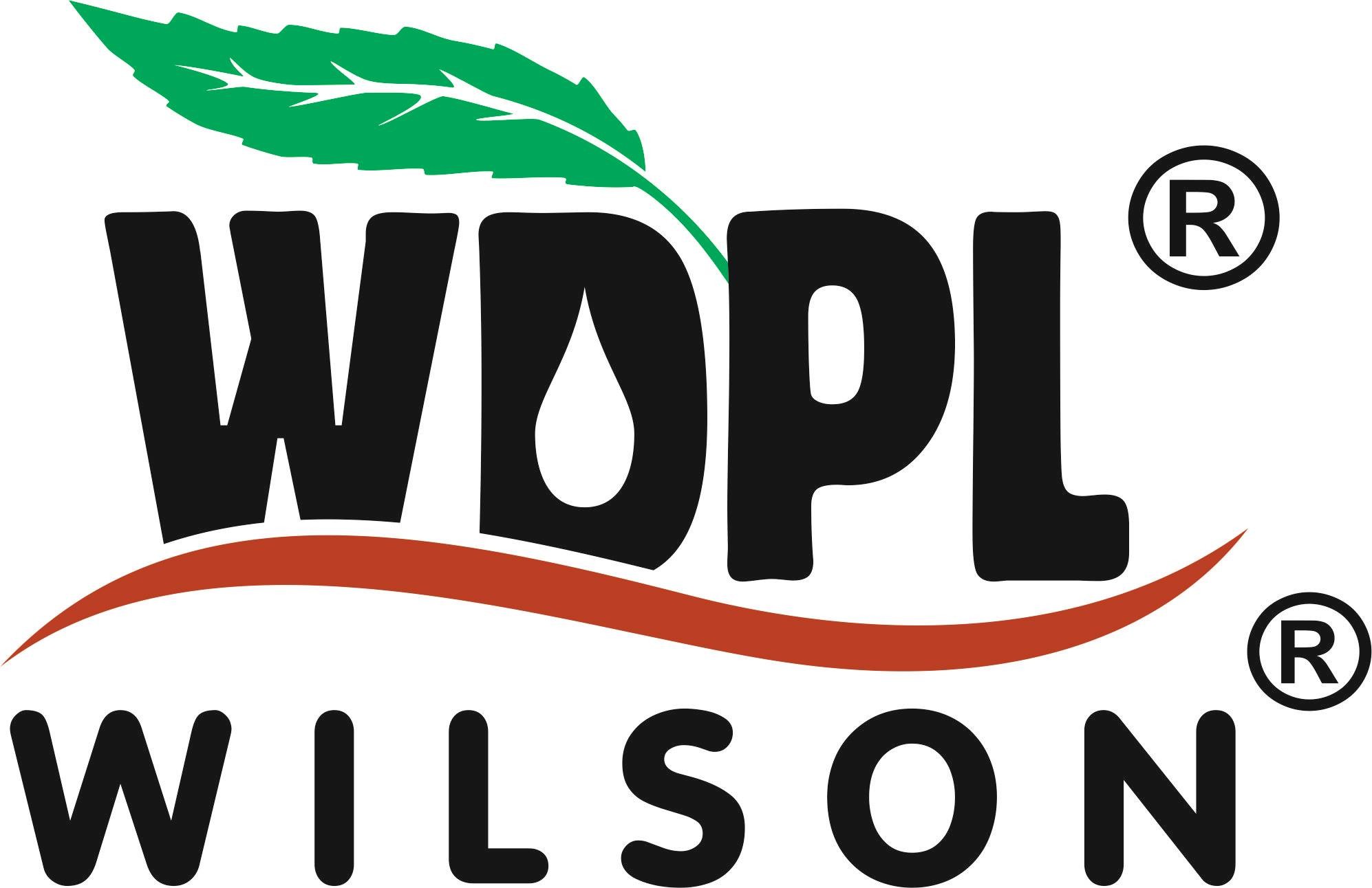Wilson Drugs 