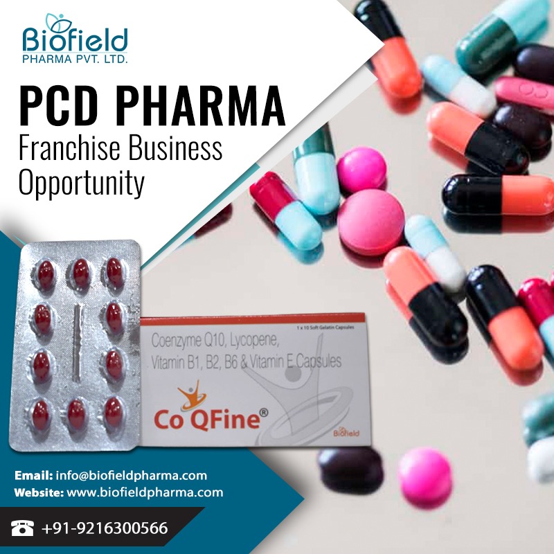 PCD Pharma Franchise Business in West Karbi Anglong, Bishwanath and Hojai