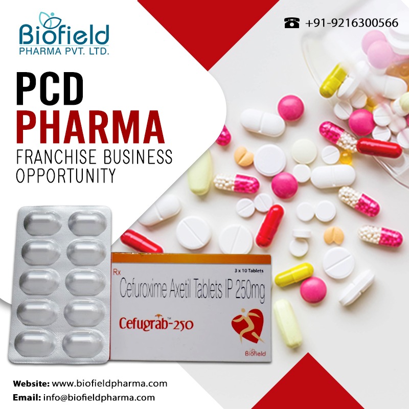 PCD Pharma Franchise Business in Jhansi, Moradabad & Etawah